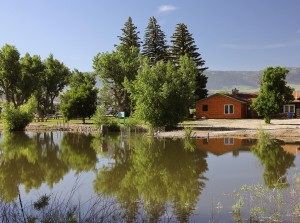 Fishing Pond